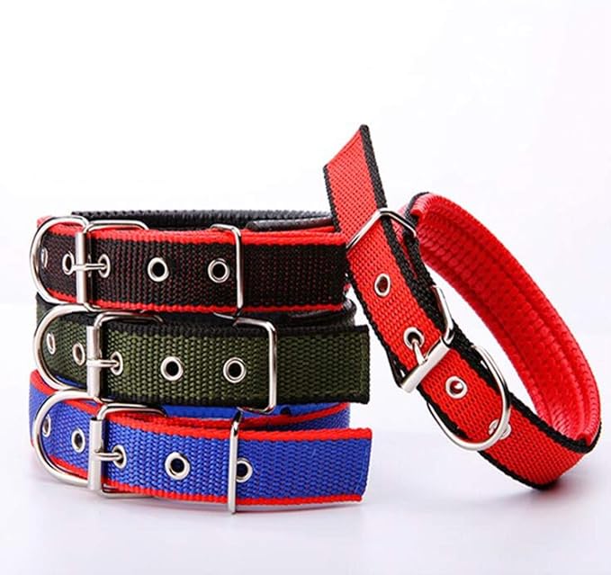 Julius Halsband Hund und Katzen