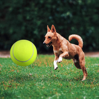 Remko | Der Spielball für Hunde