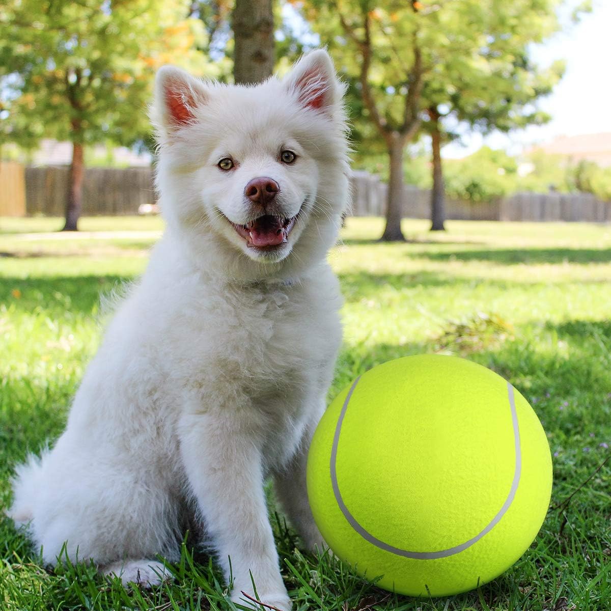 Remko | Der Spielball für Hunde