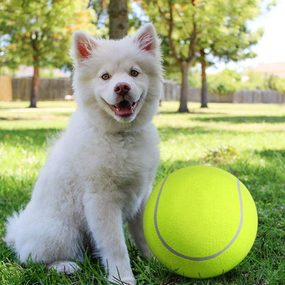 Remko | Der Spielball für Hunde