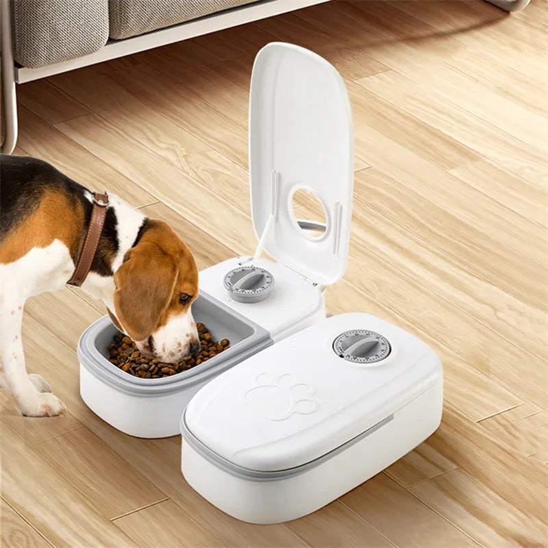 Brian | Futterautomat mit Timer für Katzen und Hunde Portionsgenaue Fütterung