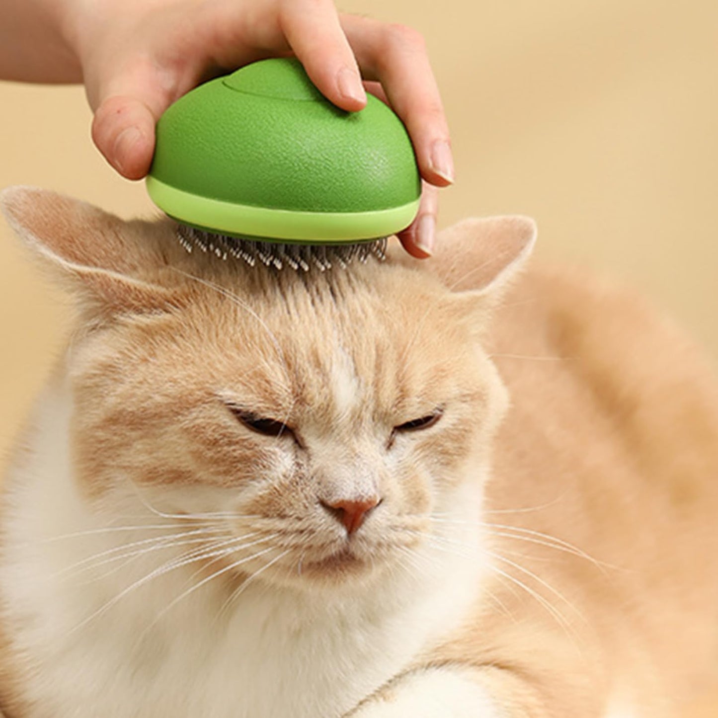 Nolan | Haustierbürste für glänzendes Fell und sanftes Entwirren bei Hunden & Katzen