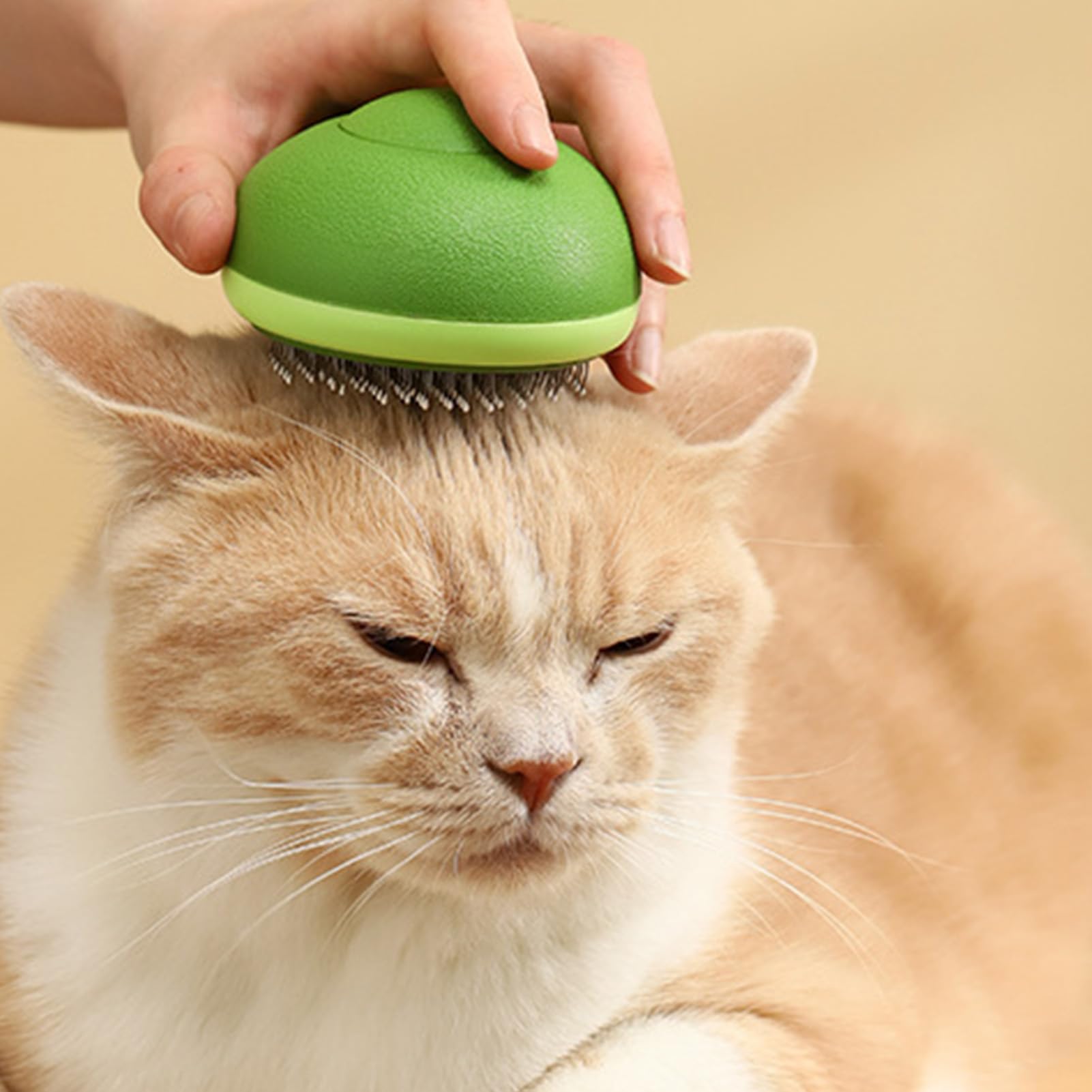 Nolan | Haustierbürste für glänzendes Fell und sanftes Entwirren bei Hunden & Katzen
