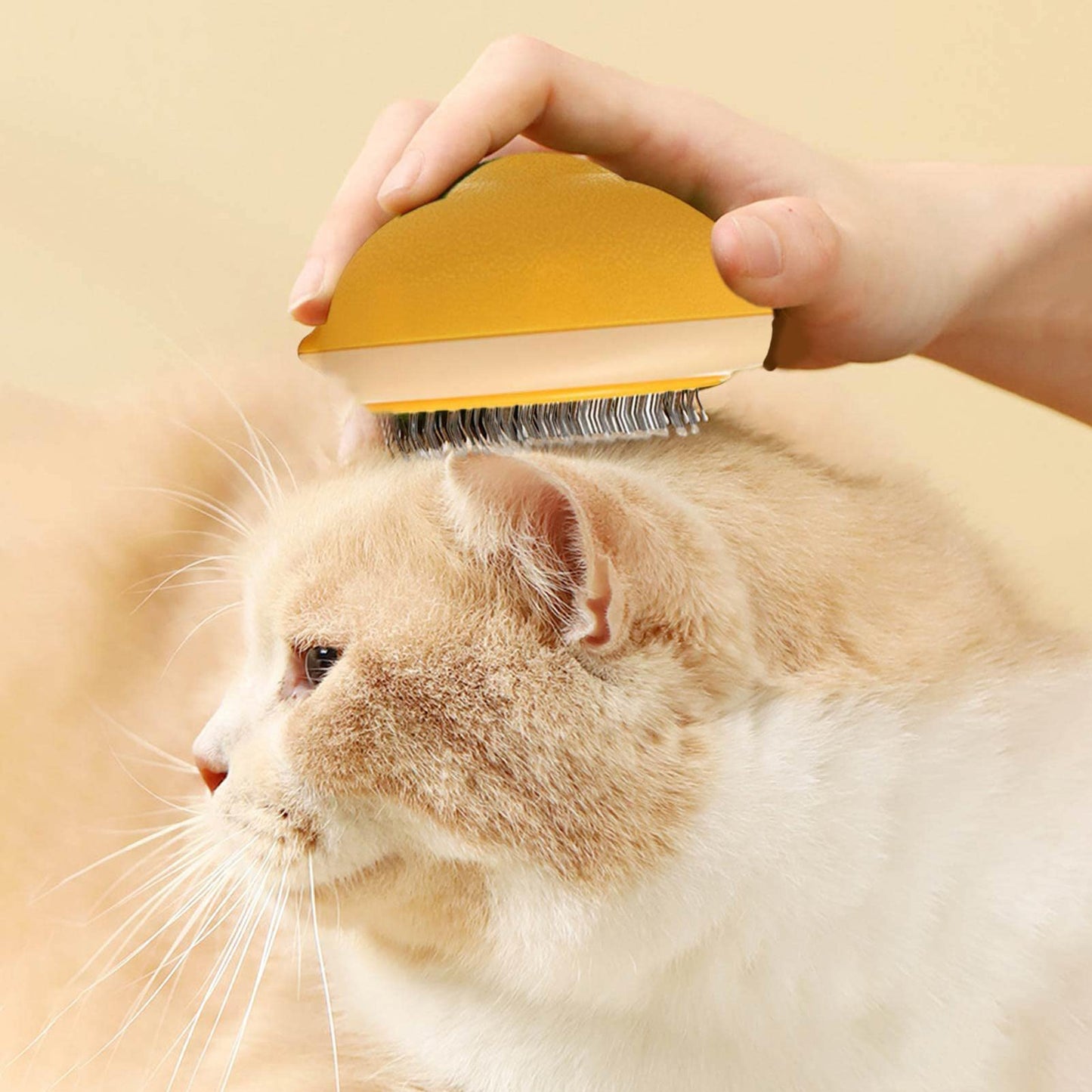 Nolan | Haustierbürste für glänzendes Fell und sanftes Entwirren bei Hunden & Katzen