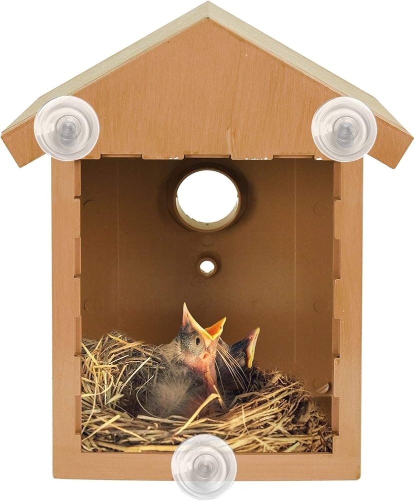 Jonny | Fenster Vogelhaus mit Saugnäpfen für Außenfenster und klare Sicht aufs Vogelnest