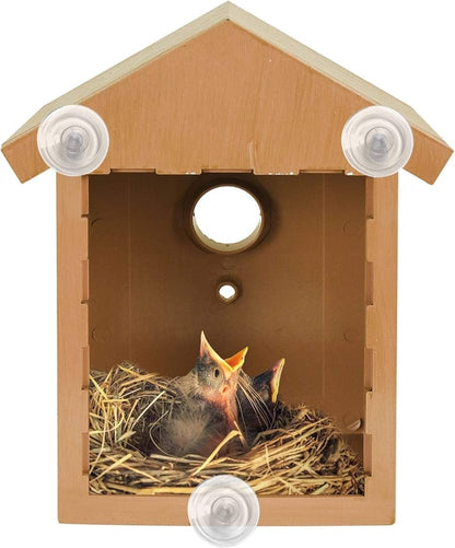 Jonny | Fenster Vogelhaus mit Saugnäpfen für Außenfenster und klare Sicht aufs Vogelnest