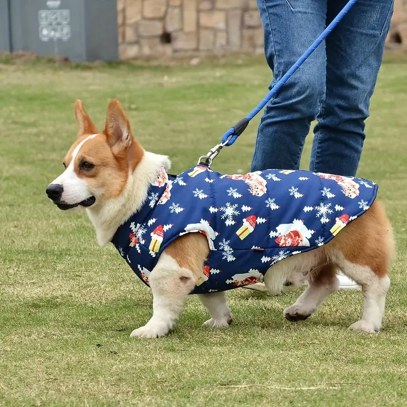 Clary Hundejacke