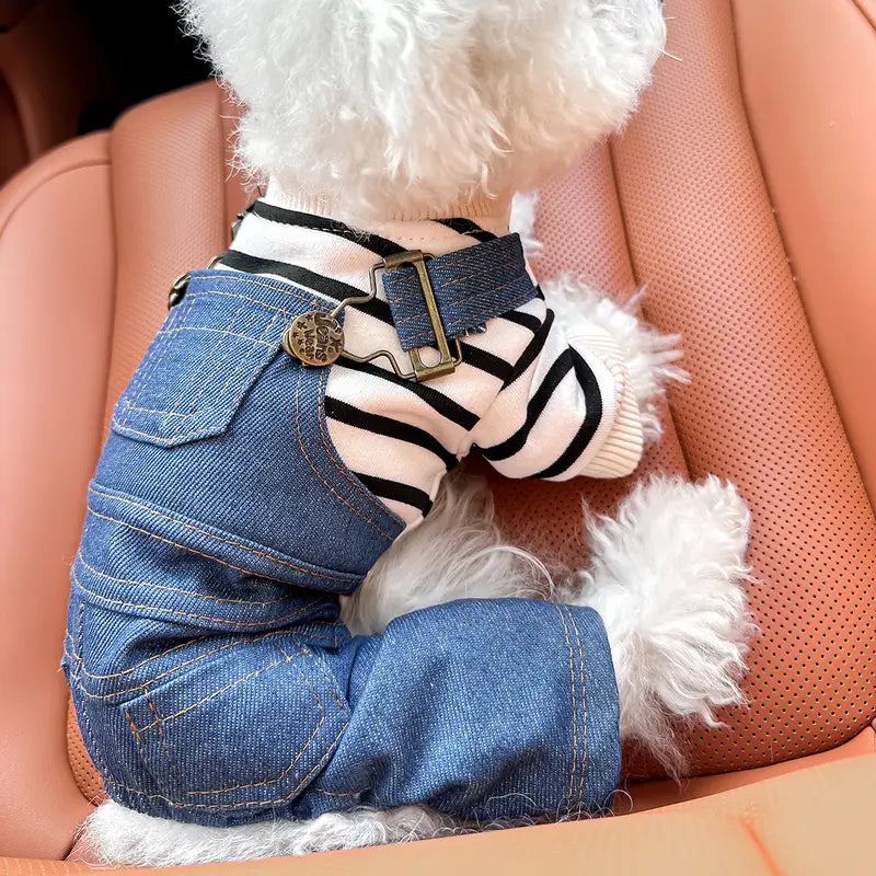 Dina Denim-Hundejacke