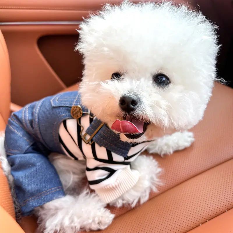 Dina Denim-Hundejacke