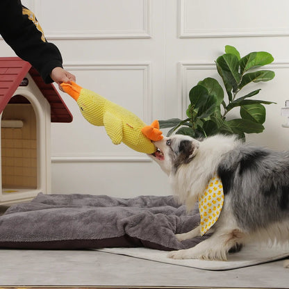 Flappi | Lebhaftes Kauenspielzeug mit Enten Geräuschen
