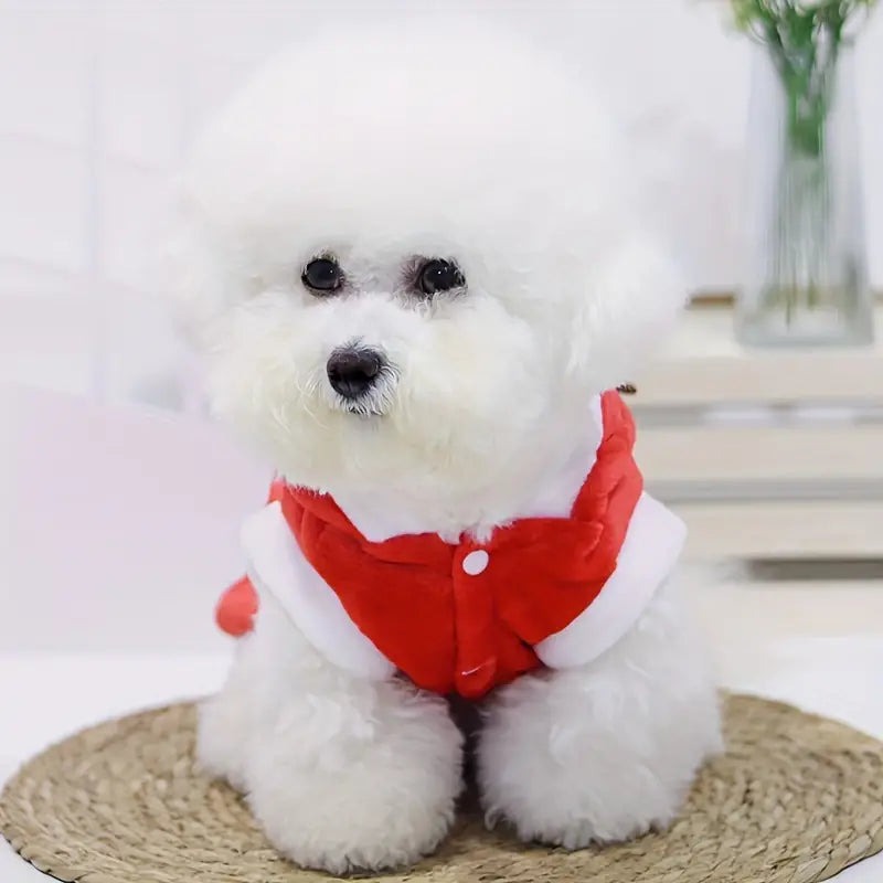 Elfe Weihnachtspullover für Hunde
