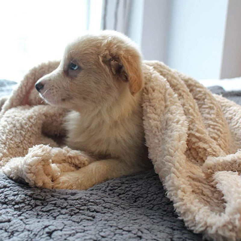 Maximilian Flauschige Fleece-Hundedecke