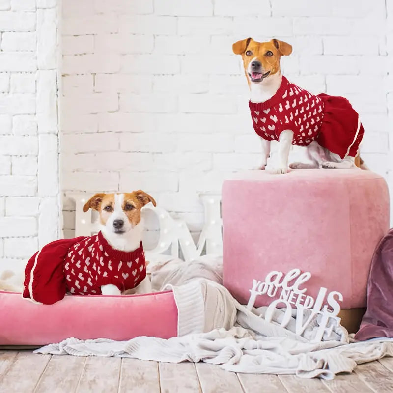 Angel Kleid für Hunde