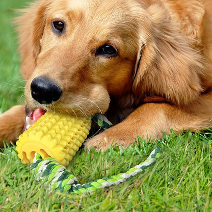 Stella | Kauspielzeug für Aktive Hunde