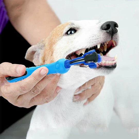 Greg | 3-Kopf-Hundezahnbürste zur täglichen Zahnpflege - Für kleine und große Hunde