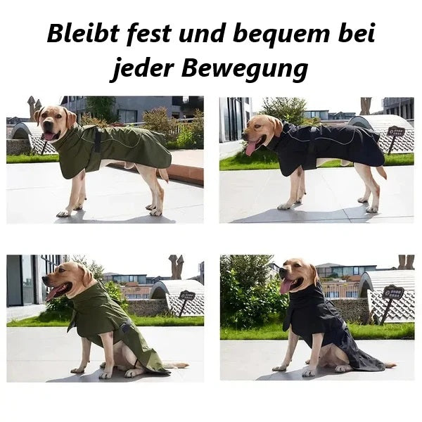 Zenon Wetterfeste Hundejacke
