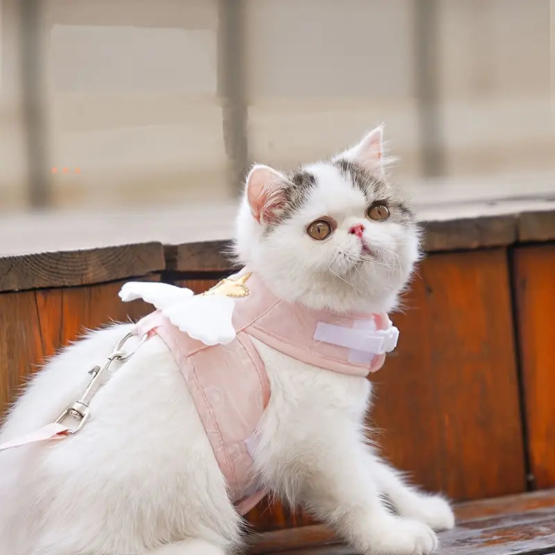 Nala | Katzengeschirr für gesunde Bewegung und glückliche Katzen