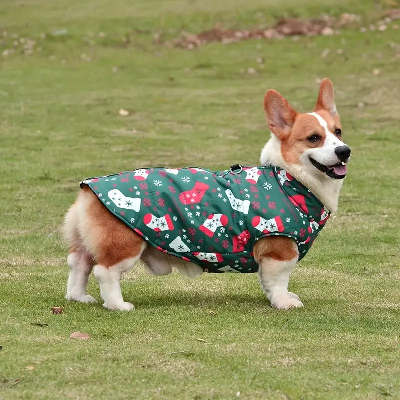 Clary Hundejacke