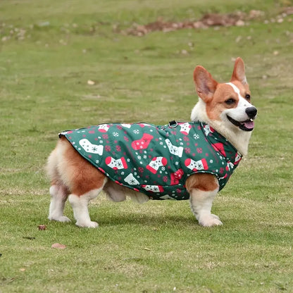 Clary Hundejacke