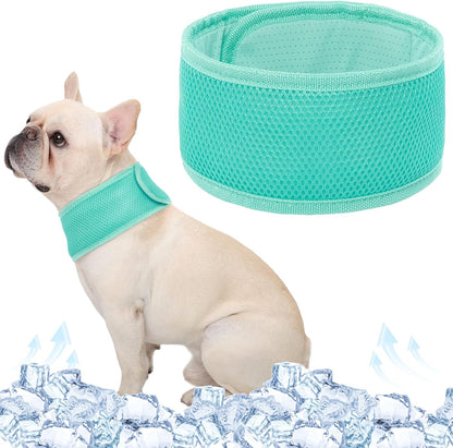 Joy | Hundehalsband mit kühlendem Effekt - Leicht & verstellbar für den Sommer