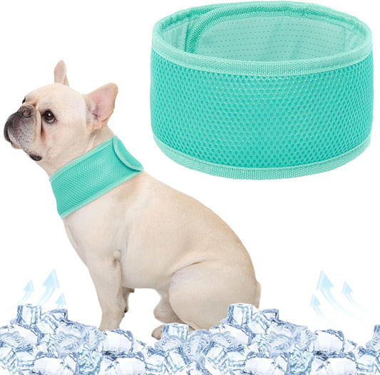 Joy | Hundehalsband mit kühlendem Effekt - Leicht & verstellbar für den Sommer