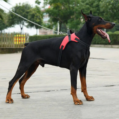 Noah Atmungsaktives Anti-Zug Hundegeschirr