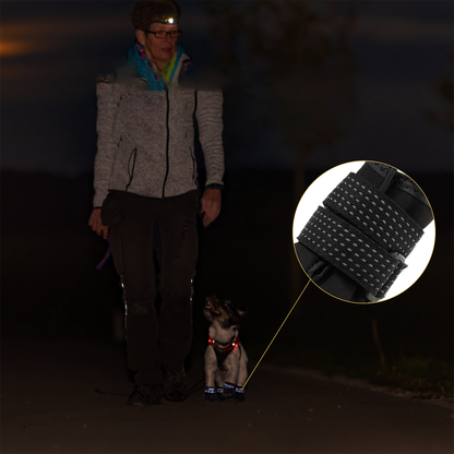 Holly Wasserdichte schützende Hundeschuhe