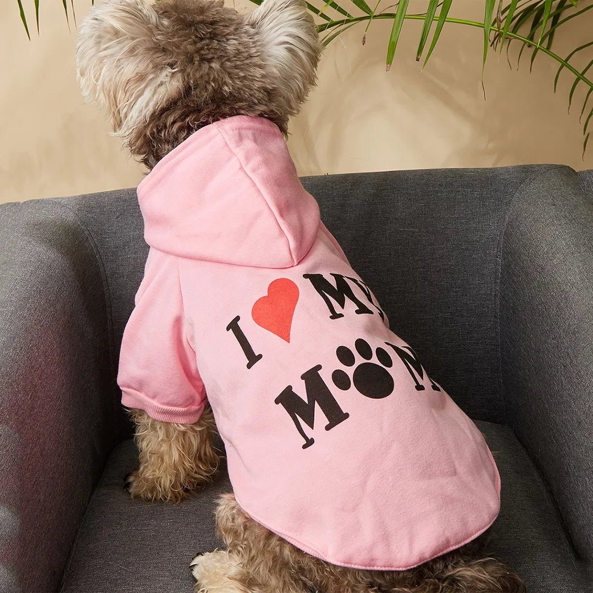 Zofia | Hunde-Hoodie für den Valentinstag