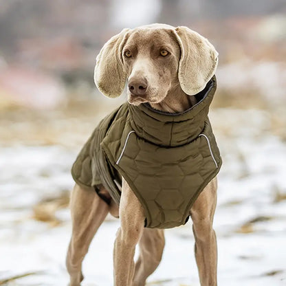 Sarge | Hundejacke Hund