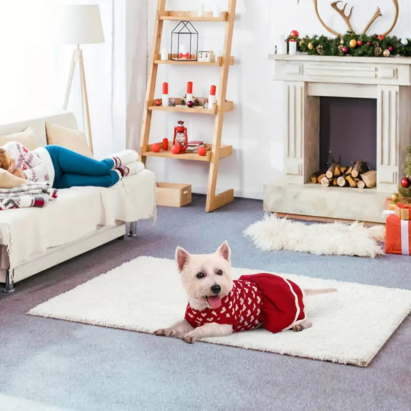 Angel Kleid für Hunde