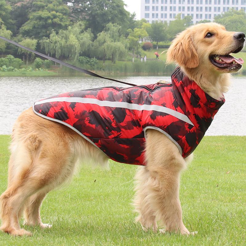 Lars Wasserdichter Hundemantel