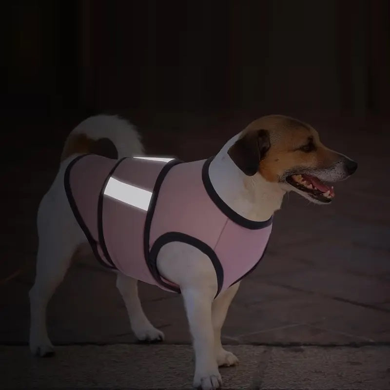 Mats Feuerwerksweste für Hunde