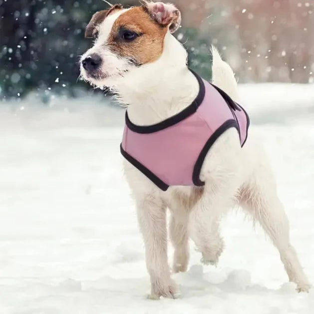 Mats Feuerwerksweste für Hunde
