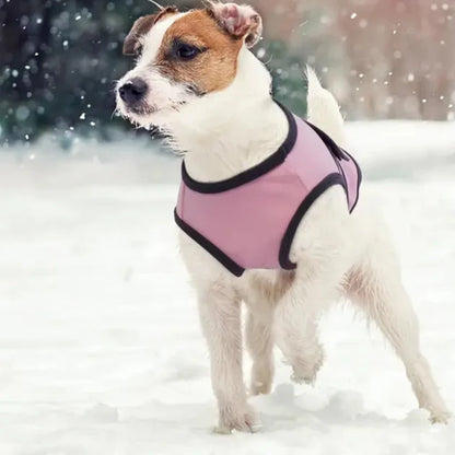 Mats Feuerwerksweste für Hunde