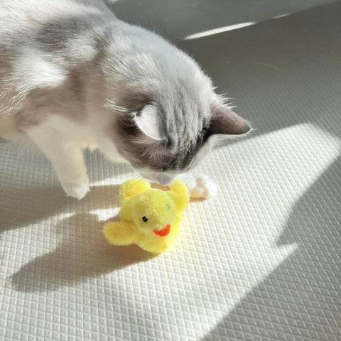 Lucy | Interaktives Enten-Katzenspielzeug