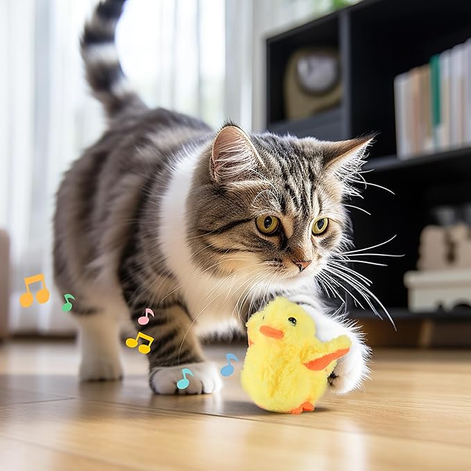 Lucy | Interaktives Enten-Katzenspielzeug