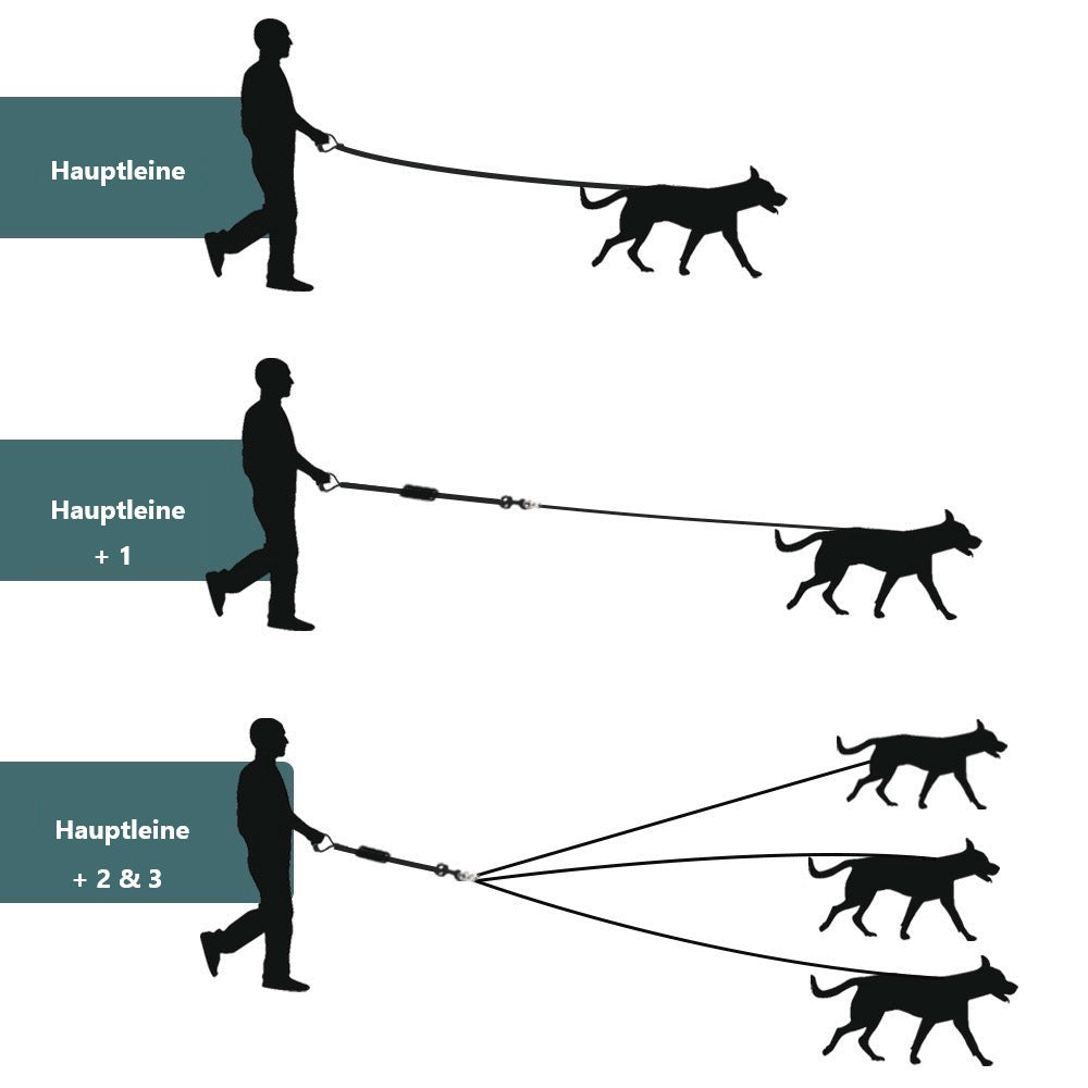 Titan Hundeleine für mehrere Hunde