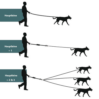 Titan Hundeleine für mehrere Hunde