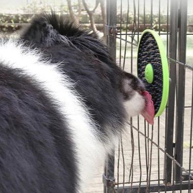 Riley Futterball für Hunde und Katzen