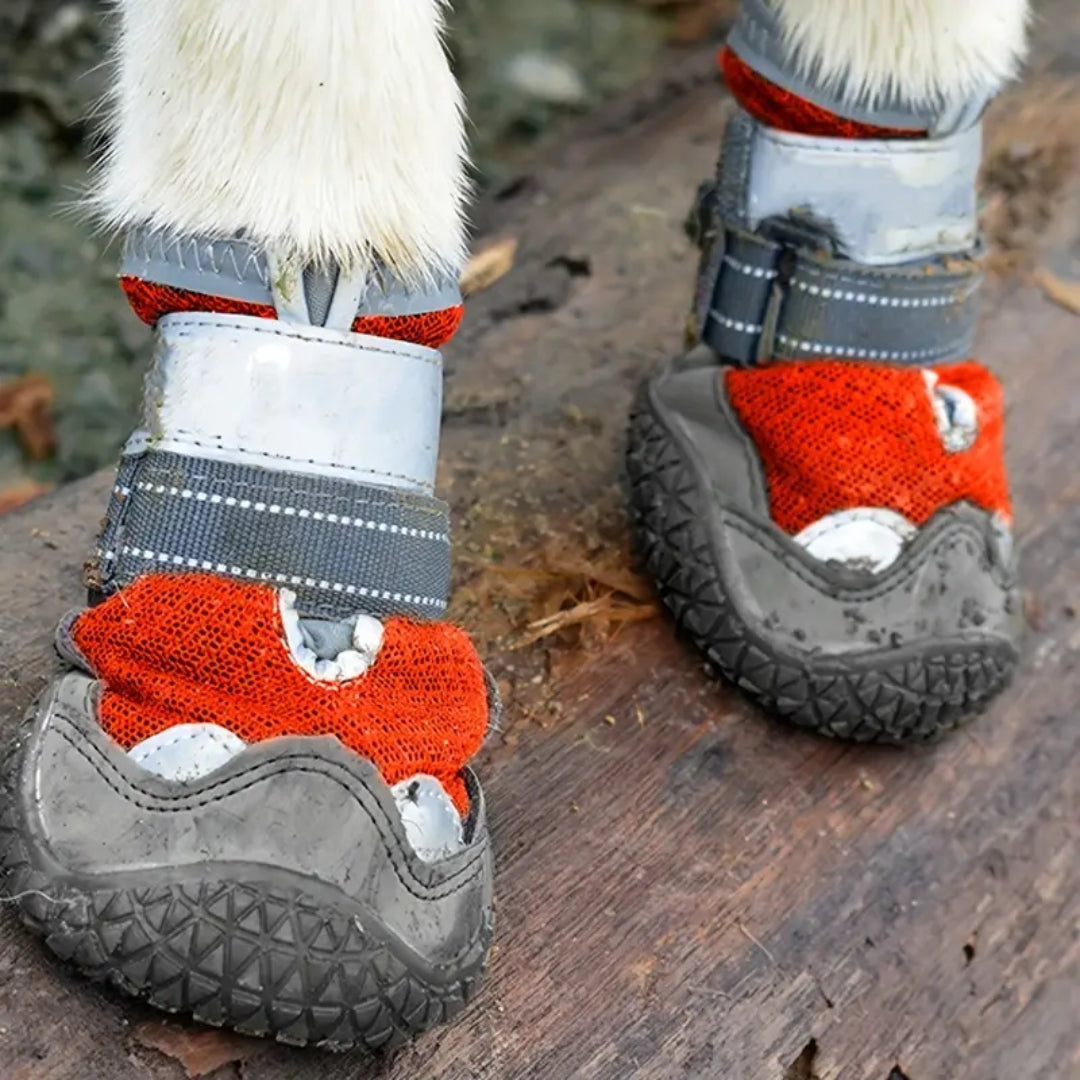 Laura Wasserdichte Hundeschuhe