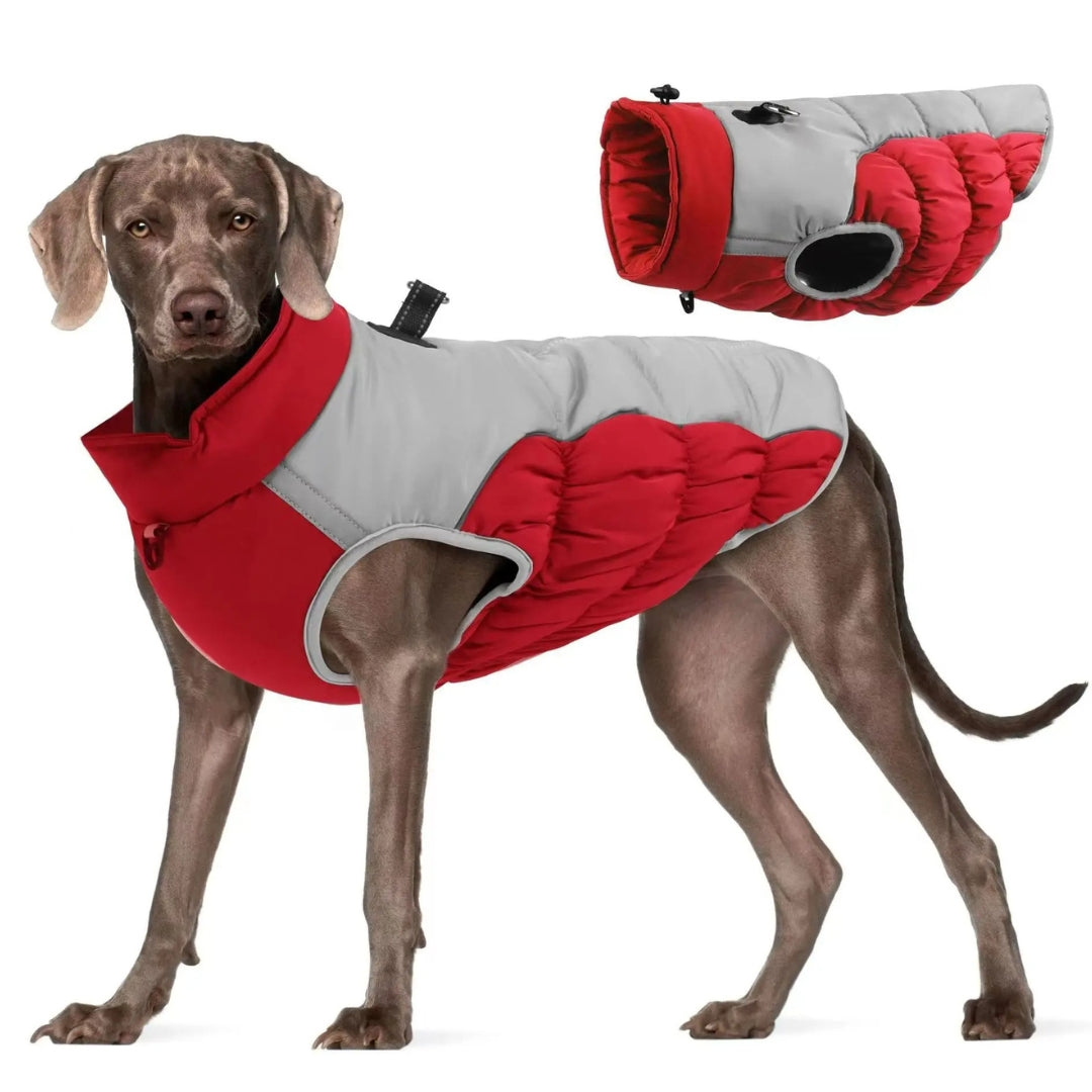 Markus Warme wasserdichte Hundejacke