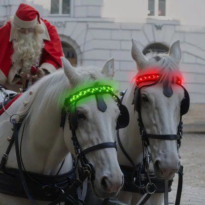 Fee LED-Kopfriemen für Pferde