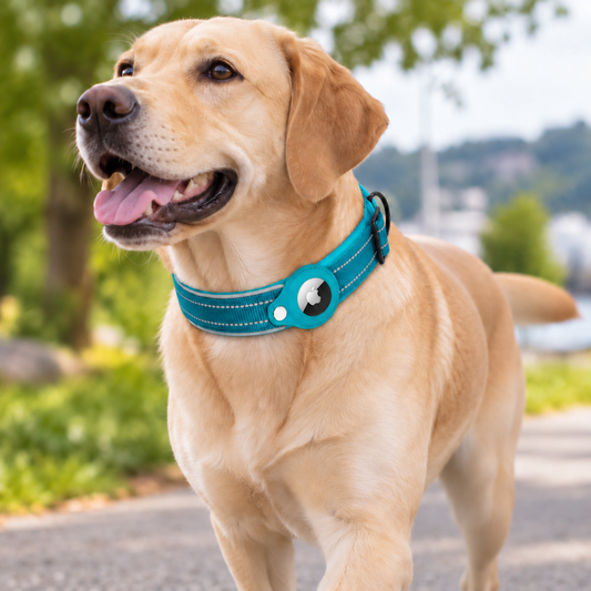 Alfred | Reflektierendes Hundehalsband mit AirTag