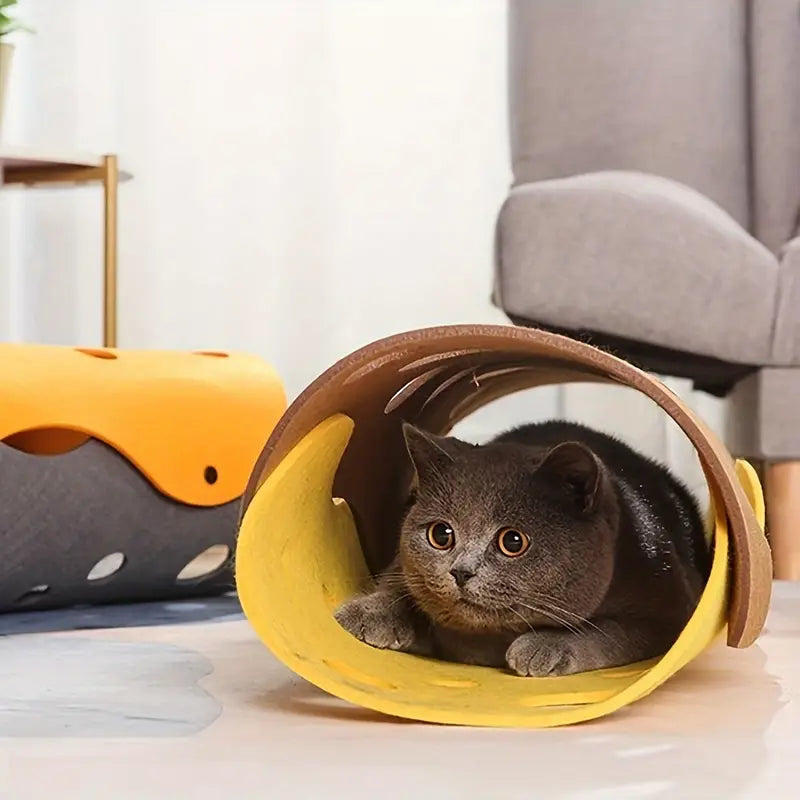 Amy Katzentunnel