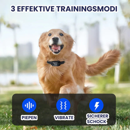 Anti Bell Halsband mit Spracherkennung und wasserfestem Empfänger | Yari