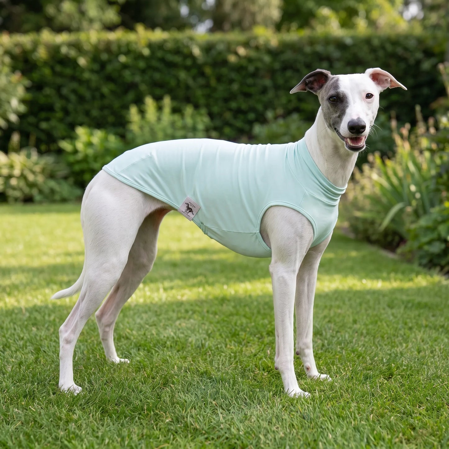 Ärmelloses Hundeshirt Für Den Sommer | SunPaws