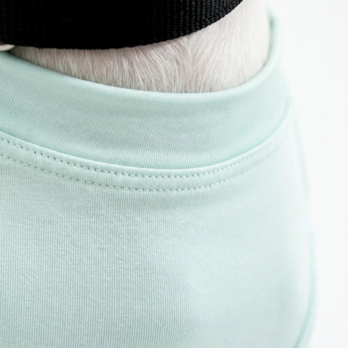 Ärmelloses Hundeshirt Für Den Sommer | SunPaws