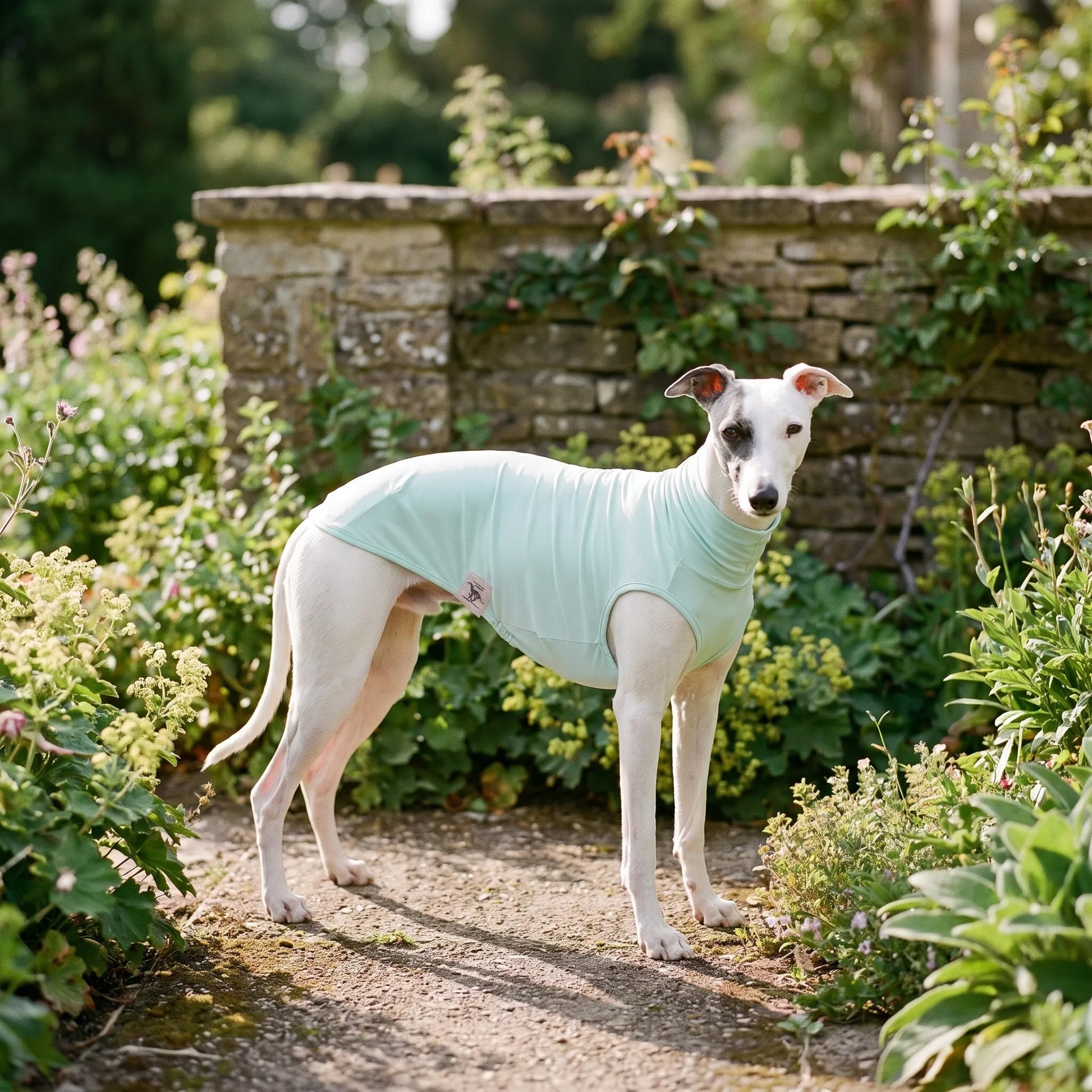 Ärmelloses Hundeshirt Für Den Sommer | SunPaws