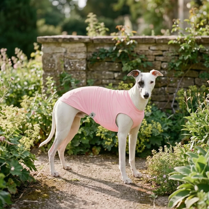 Ärmelloses Hundeshirt Für Den Sommer | SunPaws