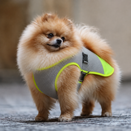 Atmungsaktive Kühlweste Für Hunde | ChillPup